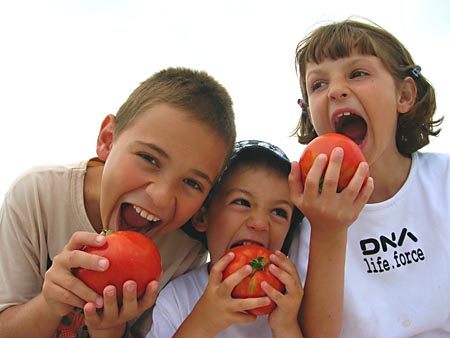 Grains, fruits, nuts, and vegetables constitute the diet chosen for us by our Creator. These foods, prepared in as simple and natural a manner as possible, are the most healthful and nourishing.